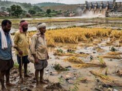 बस्तर में बाढ़ का कहर, 300 से ज्यादा गांव प्रभावित; फसल नुकसान पर किसानों को मिलेगा मुआवजा