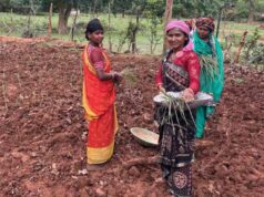 लेमन ग्रास की खेती से महक रही आत्मनिर्भरता, GPM की महिलाएं ‘लखपति दीदी’ बनने की राह पर