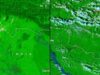 नेपाल की भारी बारिश से बिहार में मची तबाही, NASA सैटेलाइट तस्वीरों ने दिखाया बाढ़ का खौफनाक मंजर