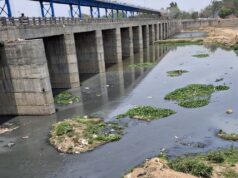 अरपा नदी प्रदूषण पर हाईकोर्ट का सवाल, 70 नालों के लिए सिर्फ 4 STP क्यों?