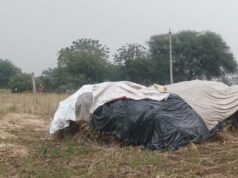 MP Crime: सतना में किसान पर जानलेवा हमला, गला रेतकर लूटे जेवर, हमले में पांच लोग गंभीर
