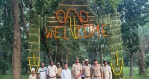 ताला, मगधी और खितौली गेट खुले, पहले दिन बाघिन के दीदार से पर्यटकों में उत्साह