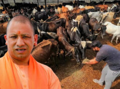 सीएम योगी के विजन के अनुरूप गो आधारित उत्पादों को बाजार से जोड़ने की तैयारी