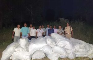 नीमच एवं धार में आठ खेतों में अवैध गांजे की खेती का पर्दाफाश, 34 क्विंटल से अधिक गांजे के हरे पौधे जब्त अनुमानित कीमत 5 करोड़ 89 लाख रुपए