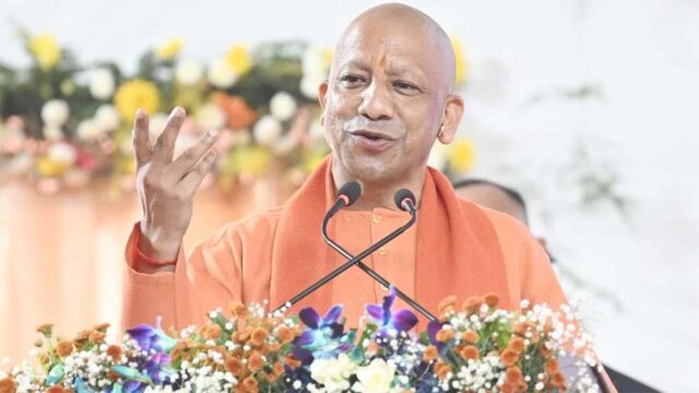yogi1-1.jpg